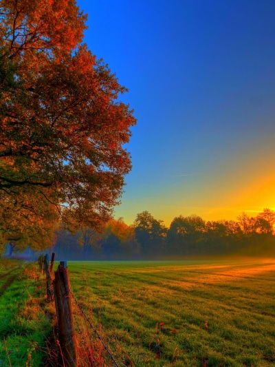 Earth Sunset, Field, Fall, Sky, 1536x2048