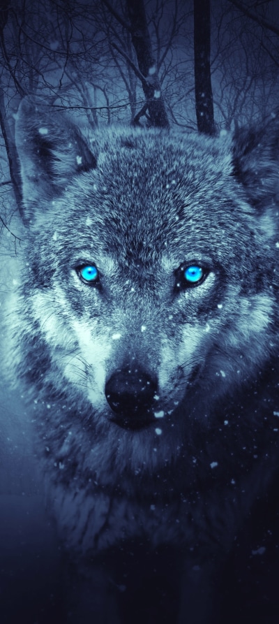 Fantasy Wolf, 1440x3216
