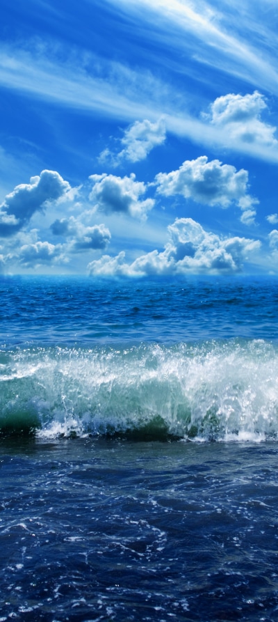 Earth Ocean, 1440x3216