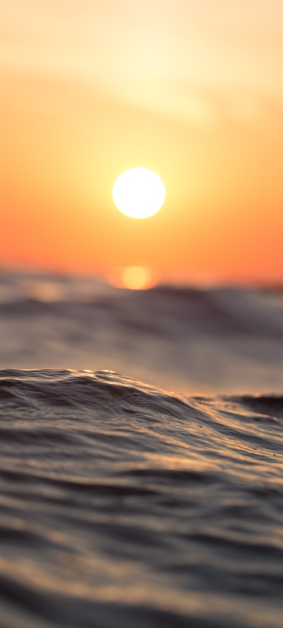 Earth Sunset, Water, Sun, 1440x3200