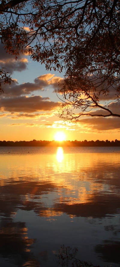 Earth Sunset, 1440x3200