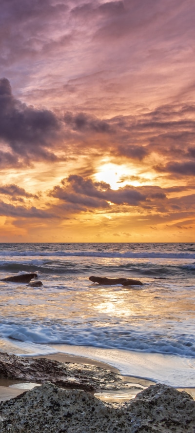 Earth Ocean, Horizon, Nature, Sunrise, 1440x3200
