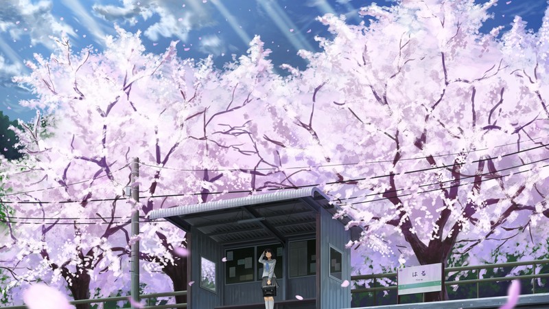 anime, girl, cherry, 4K