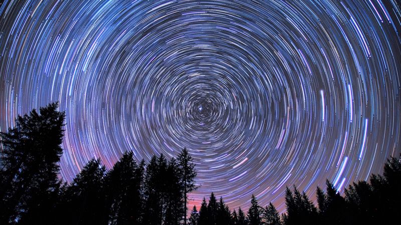 starry sky, stars, round, trees, 4k