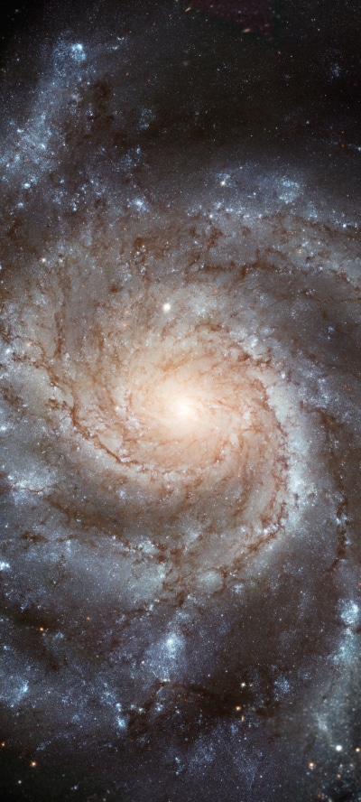 Sci Fi Galaxy, Stars, Space, 1440x3200