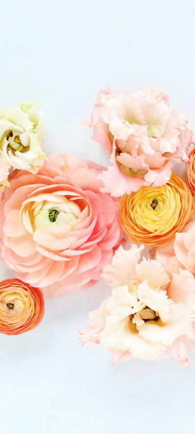 Earth Flower, Ranuncula, Pink Flower, Peach Flower, Peony, 1440x3200