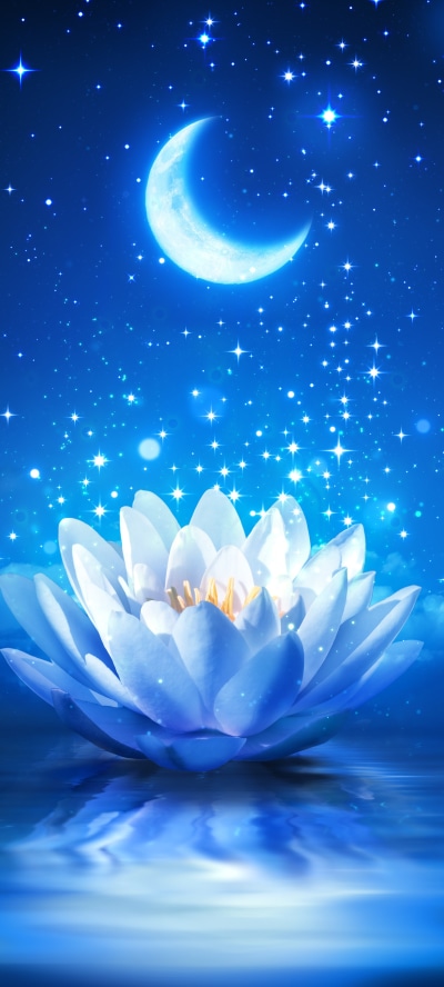 Artistic Flower, Sparkles, Stars, Water Lily, Moon, Night, 1440x3200