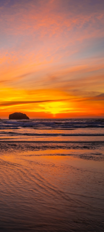 Earth Sunset, Nature, Horizon, Ocean, 1440x3200