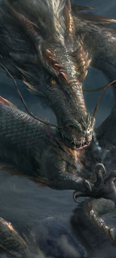 Fantasy Dragon, Oriental, 1440x3200