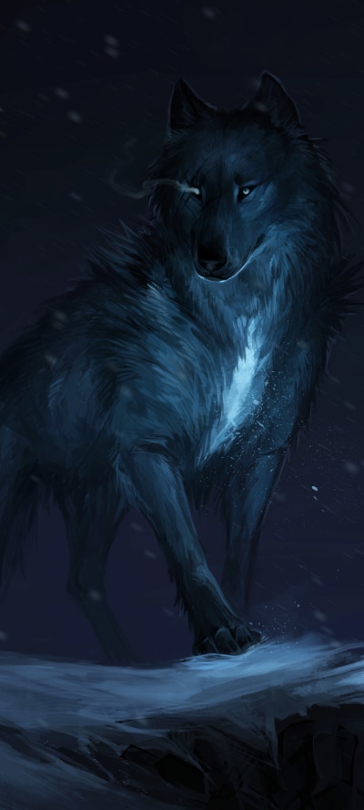 Fantasy Wolf, Night, 1440x3200