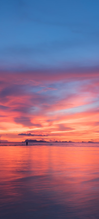 Earth Sunset, Horizon, 1440x3200