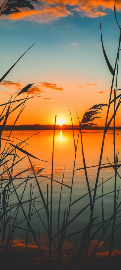 Earth Sunset, Nature, Lake, 1440x3200