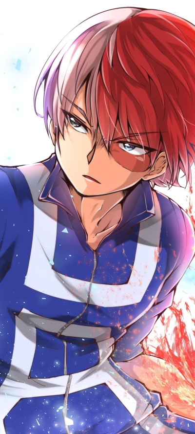 Anime My Hero Academia, Shoto Todoroki, 1440x3200