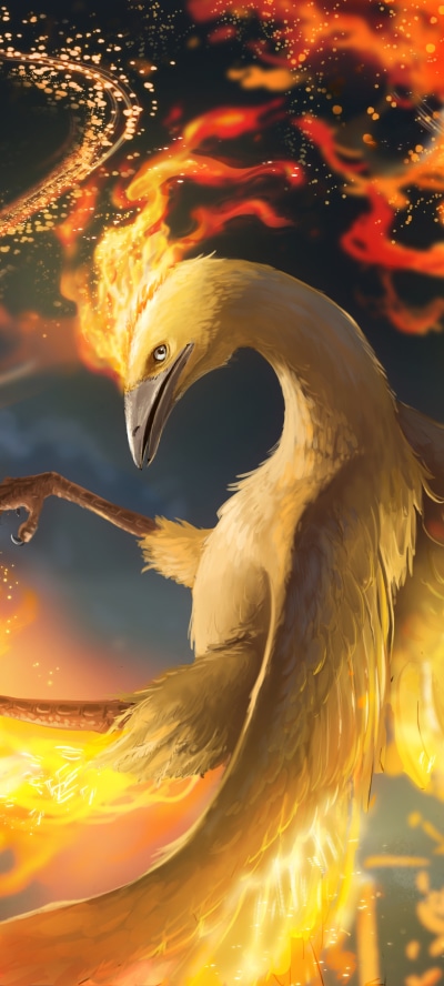 Anime Pokémon, Moltres (Pokémon), 1440x3200
