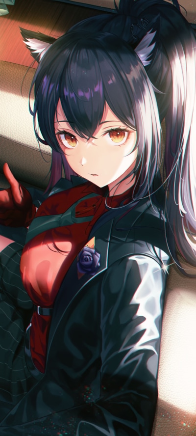 Video Game Arknights, Texas (Arknights), Brown Eyes, Black Hair, Animal Ears, 1440x3200