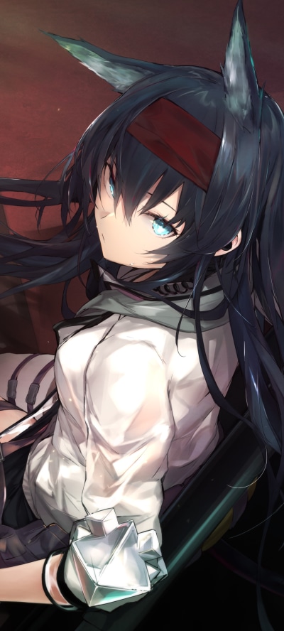 Video Game Arknights, Animal Ears, Aqua Eyes, Blaze (Arknights), 1440x3200