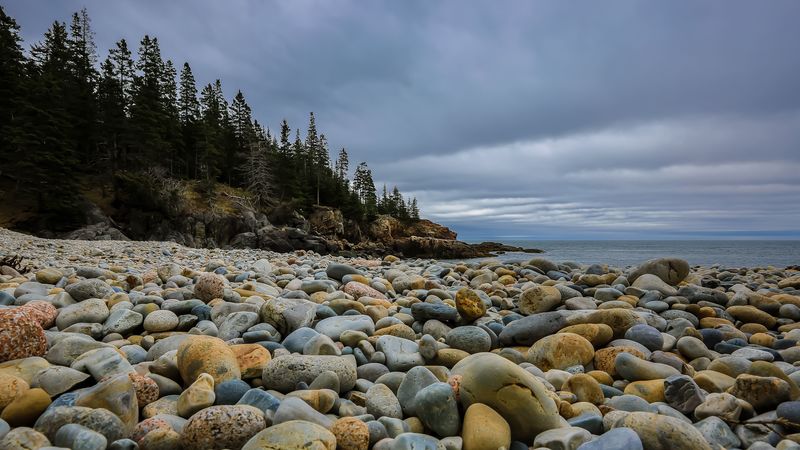 stones, beach, forest, spruce, 4k