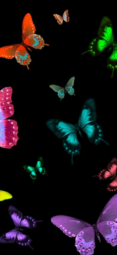 Artistic Butterfly, Colorful, 1440x3120
