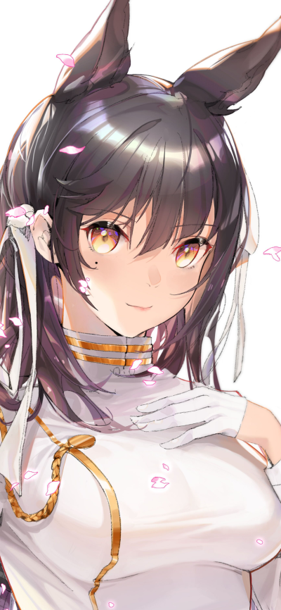 Anime Azur Lane, Atago (Azur Lane), Animal Ears, 1440x3120