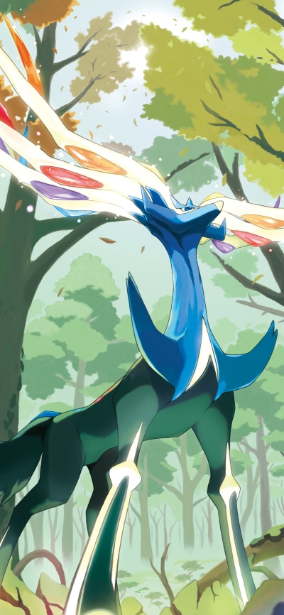 Video Game Pokémon, Xerneas (Pokémon), Legendary Pokémon, 1440x3120