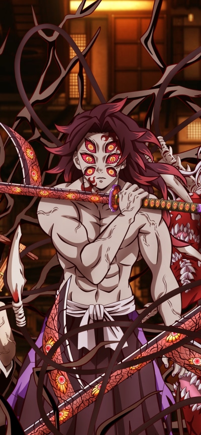 Anime Demon Slayer: Kimetsu no Yaiba, Kokushibo (Demon Slayer), 1440x3120