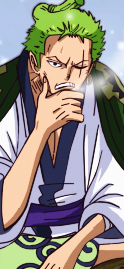 Anime One Piece, Roronoa Zoro, 1440x3120