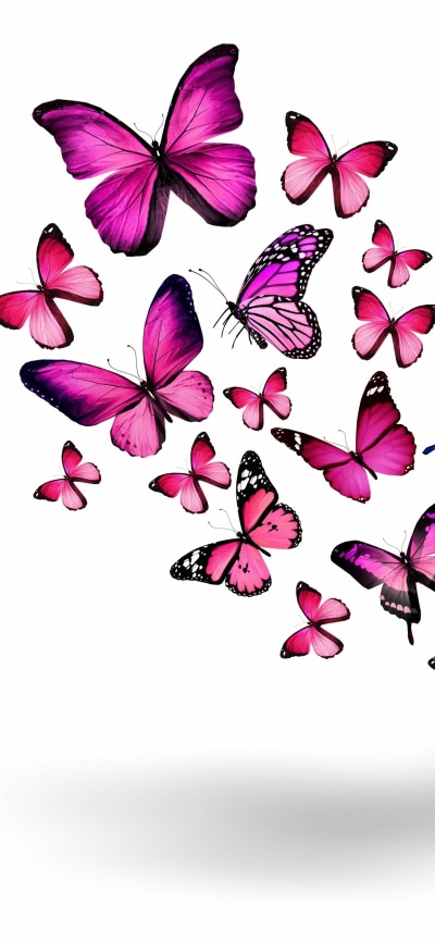 Artistic Butterfly, 1440x3120