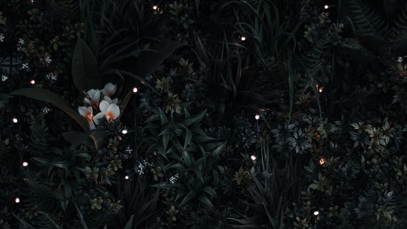grass, flowers, leaves, aerial view, 4k