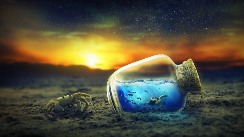 Bottle, Crab, Turtle, 4K