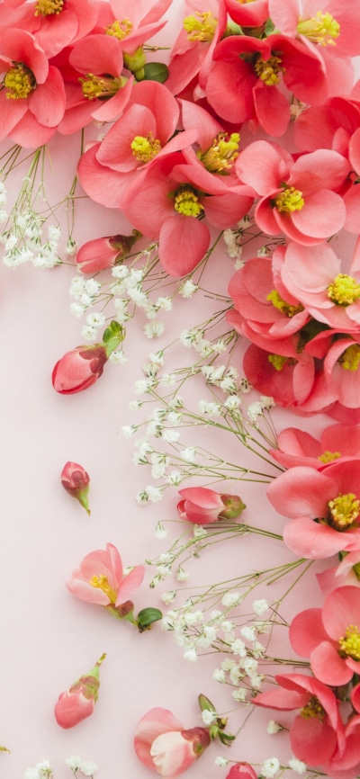 Man Made Flower, Still Life, Pink Flower, 1440x3120
