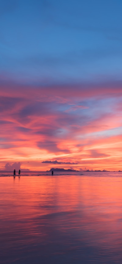 Earth Sunset, Horizon, 1440x3120