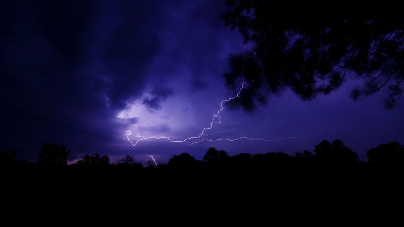 lightning, thunderstorm, branch, bushes, 4k