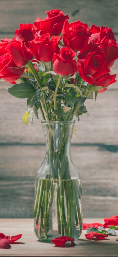 Man Made Flower, Bouquet, Rose, Red Flower, 1440x3120