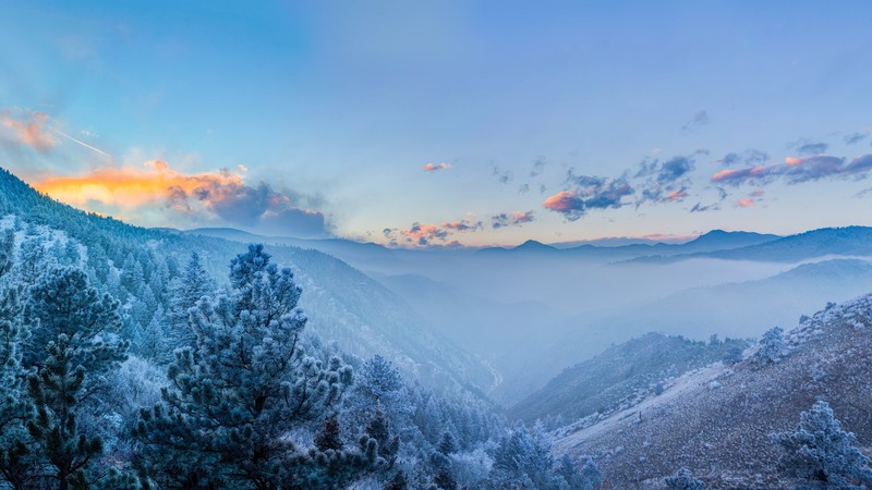 mountains, forest, winter, clouds, 4k