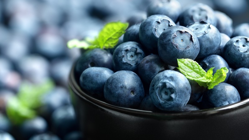 blueberry, berries, 4k