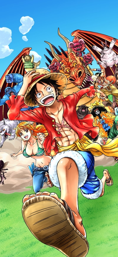 Anime One Piece, Monkey D. Luffy, 1440x3120