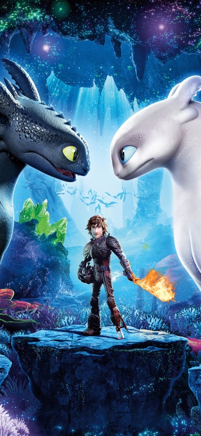 Movie How to Train Your Dragon: The Hidden World, Hiccup (How To Train Your Dragon), White Night Fury, Toothless (How To Train Your Dragon), 1440x3120
