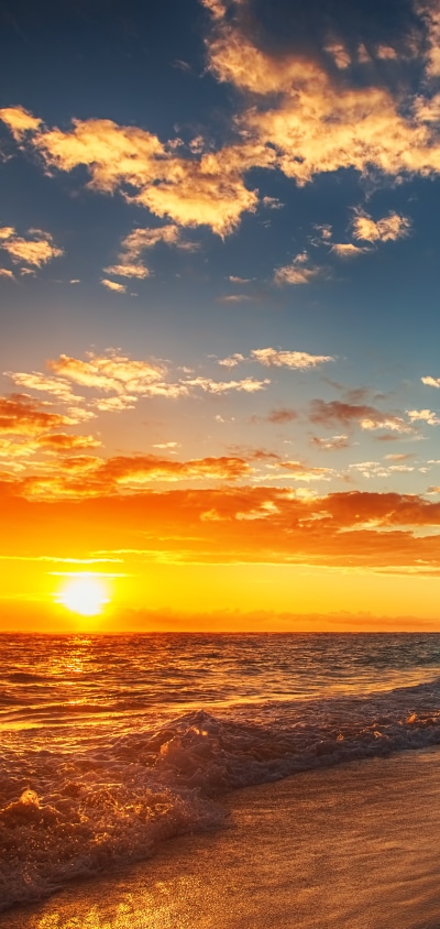 Earth Sunset, 1440x3040