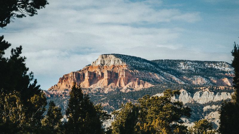 rock, peak, mountain, trees, branches, 4k