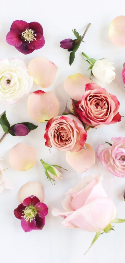 Artistic Flower, Peony, Rose, Anemone, Pink Flower, White Flower, 1440x3040