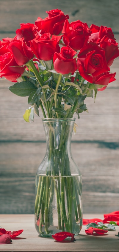 Man Made Flower, Red Flower, Rose, Bouquet, 1440x3040