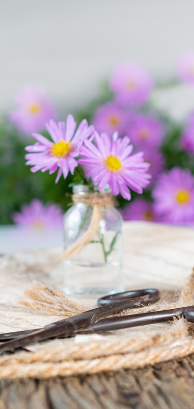 Man Made Flower, Bouquet, Daisy, Scissors, 1440x3040