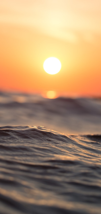 Earth Sunset, Sun, Water, Close-up, 1440x3040