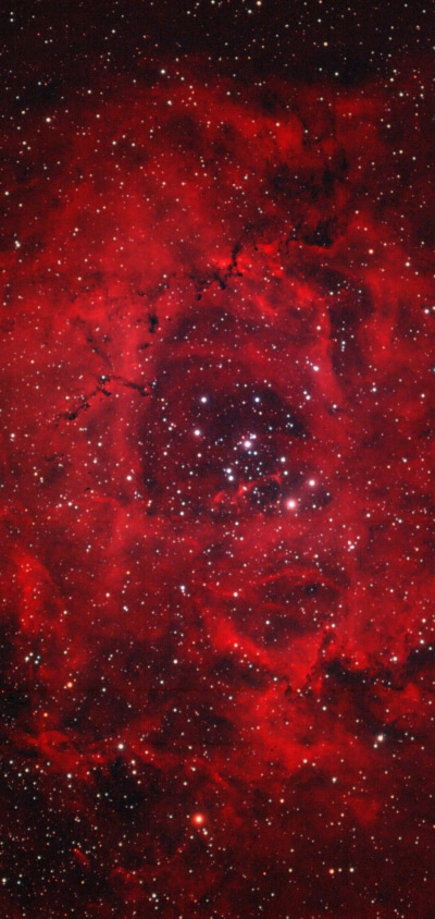 Sci Fi Nebula, 1440x3040