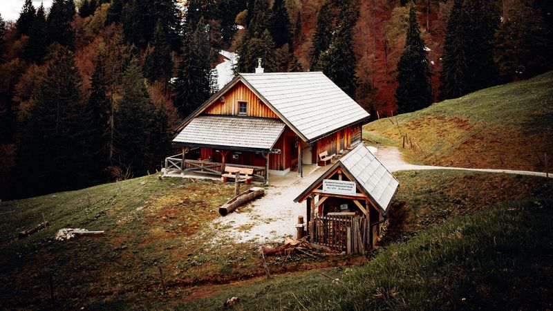 house, building, forest, trees, seclusion, 4k