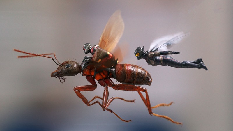 Ant-Man and the Wasp, 4k
