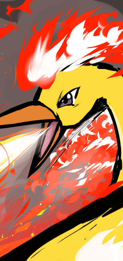 Anime Pokémon, Moltres (Pokémon), 1440x3040