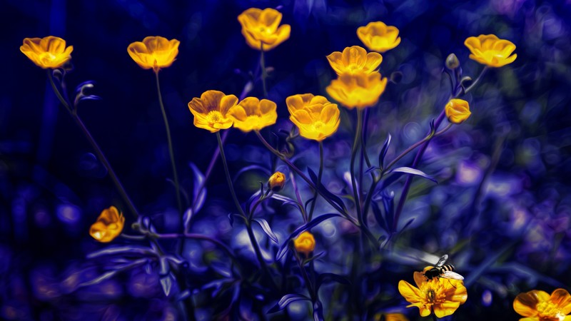 Buttercups, 4k, flowers, yellow, purple
