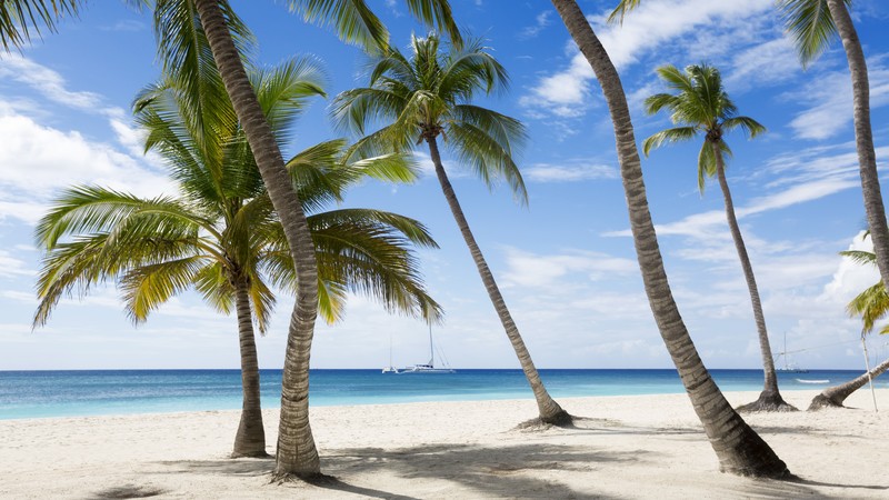 Jamaika, 4K, The Caribbean, beach, palms, sky, travel, tourism