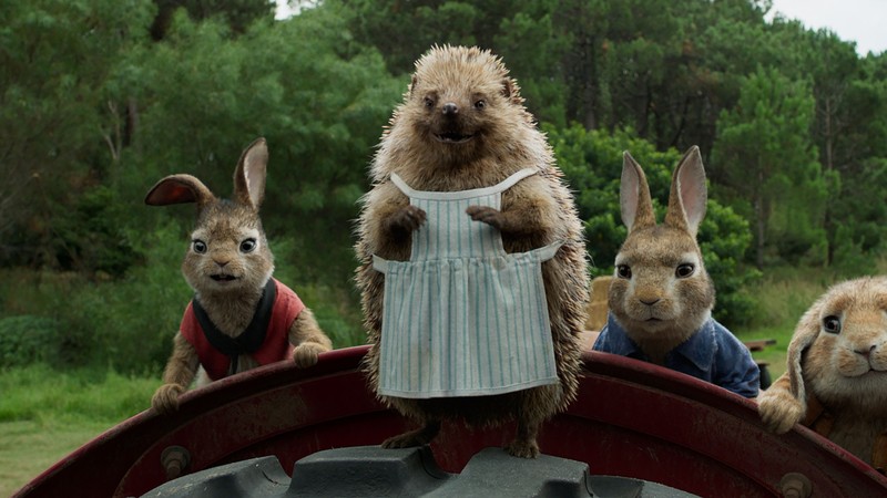 Peter Rabbit, hedgehog, 4k